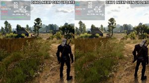 The Witcher 3: Wild Hunt Next Gen - DX12 FIXED - Steam Deck - DX12 vs DX11 & More