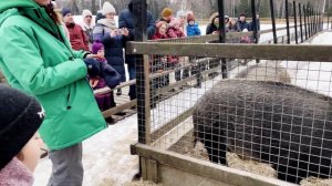 Лосиная Биостанция 🫎 Лосиный Остров 🦌 Экскурсия