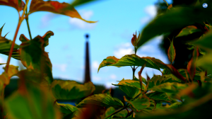 Город Подпорожье — ГороДской этюд