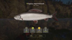 Дальний заброс • Легкие Приманки • Новая Сборка • Фарм Серебра • Река Белая • Русская Рыбалка 4 #41