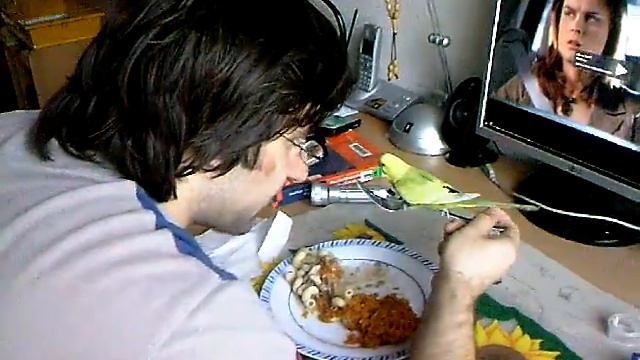 Самый голодный попугай смотреть онлайн