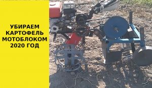 Убираем картофель мотоблоком 2020г.