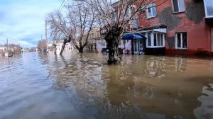 Наводнение в г. Орске, в 2024. Второй день идёт спасение людей и животных