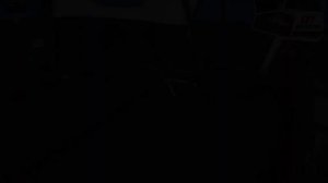 Toyota   4Runner  ( 2010 )