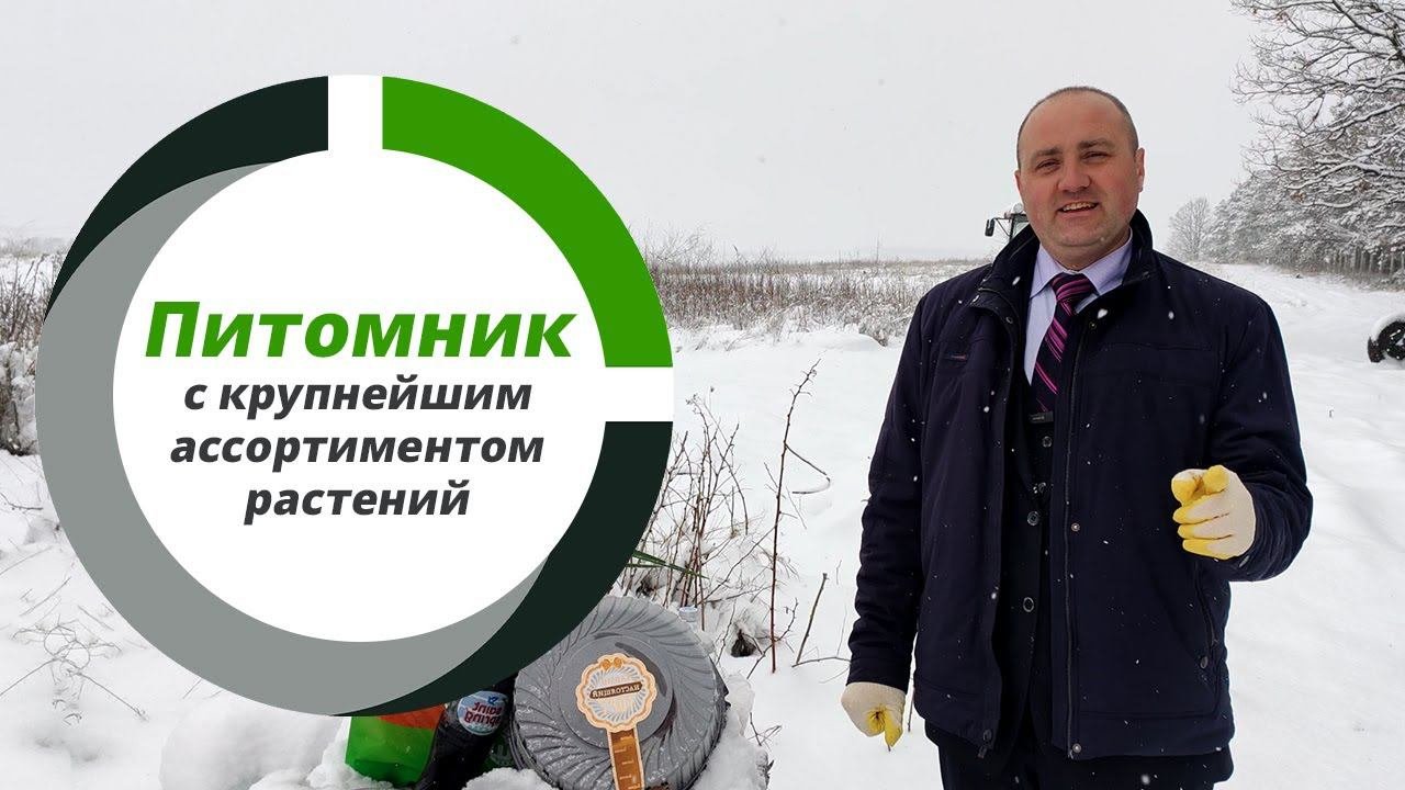 Питомник с крупнейшим ассортиментом растений в Крыму