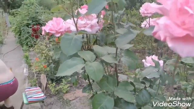 Ура! Установили бассейн. И немного обзор огорода смотреть онлайн