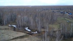 алтайский край Тальменский район Выползово с высоты
