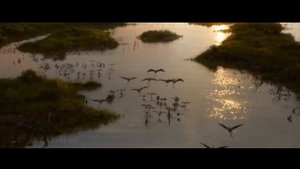 Муфаса 2 трейлер 2024.Mufasa - The Lion King 2 - Teaser Trailer _ Live-Action Movie, Disney+.mp4