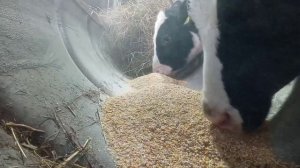 День релакса!