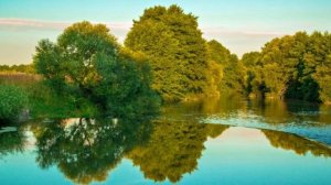 Зеркальный ответ. Вселенский Закон Отражения