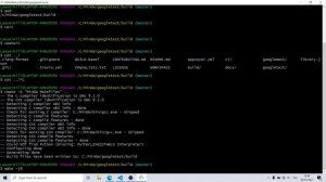 Install Google Test on Windows