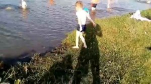 Купаемся в речке