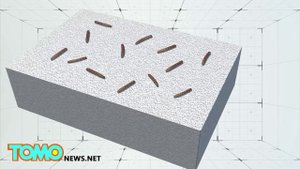 Черви спасут мир от пластиковой катастрофы