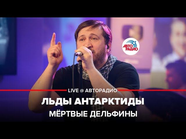 Песня любовь дельфин лед