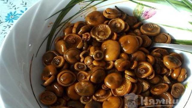 Салат Дары леса