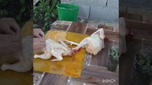 Заготовка крыжовника на зиму..
