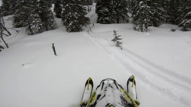 RockyMarchMadnessKing on snow - 4K смотреть онлайн