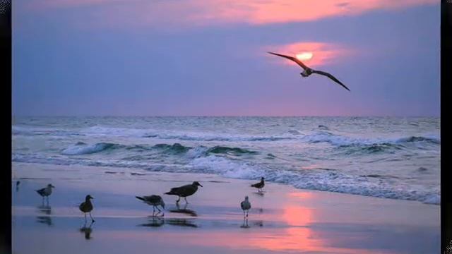 Доброта стихотворение Э Асадова смотреть онлайн