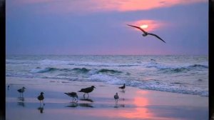 Доброта  стихотворение  Э  Асадова