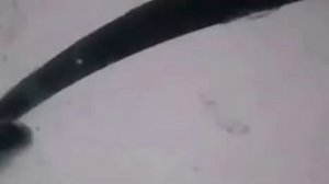 Видеорегистратор предупреждает!