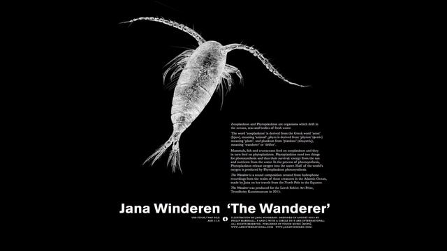 Jana Winderen - The Wanderer [2016, Full Album] смотреть онлайн