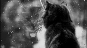 Ты опоздал, меня уже нет