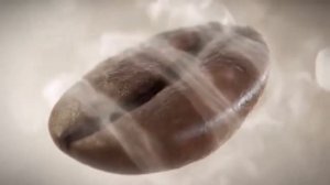 Реклама Jacobs Monarch