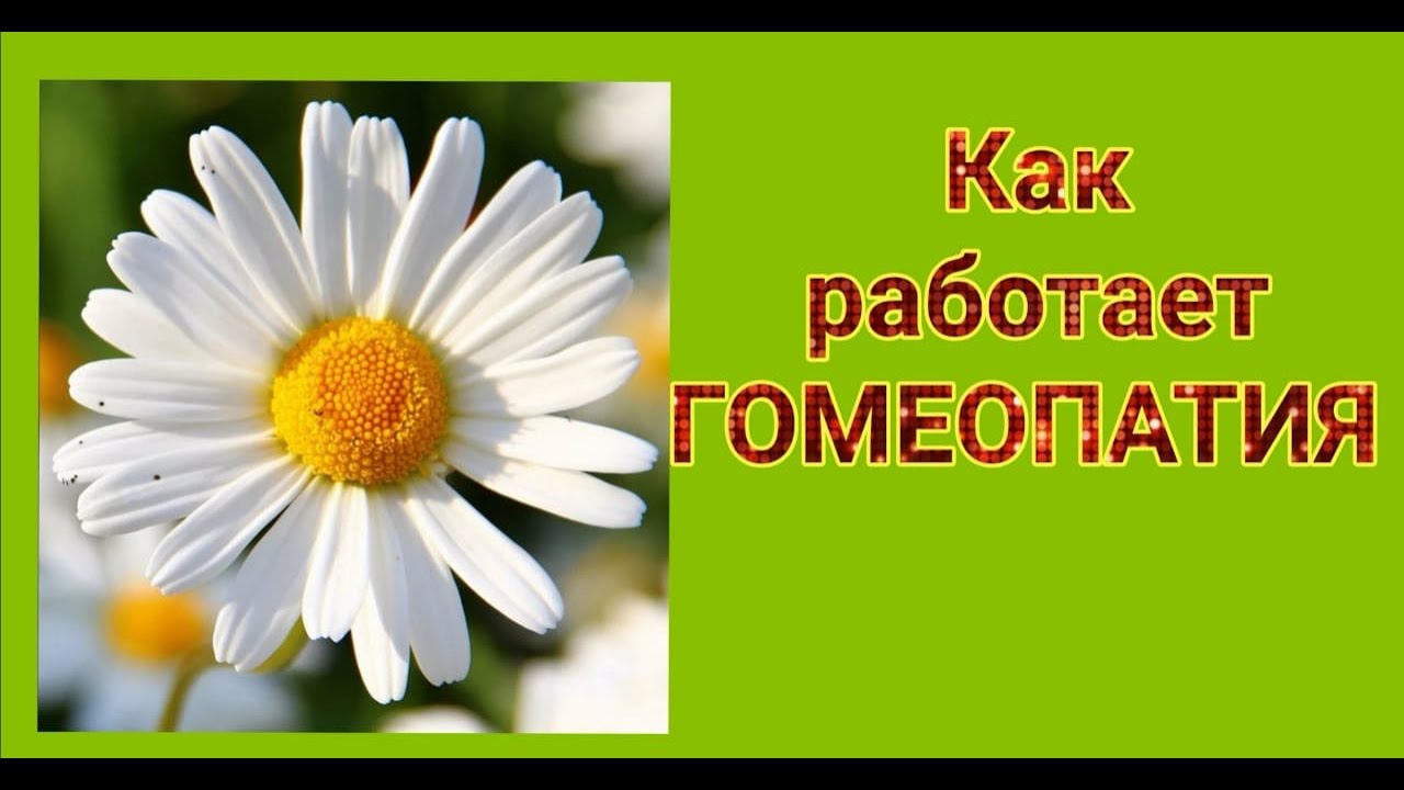 Как работает ГОМЕОПАТИЯ.mp4