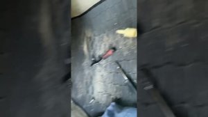 Замена лягушки Ауди а6 с5 2.5 тди