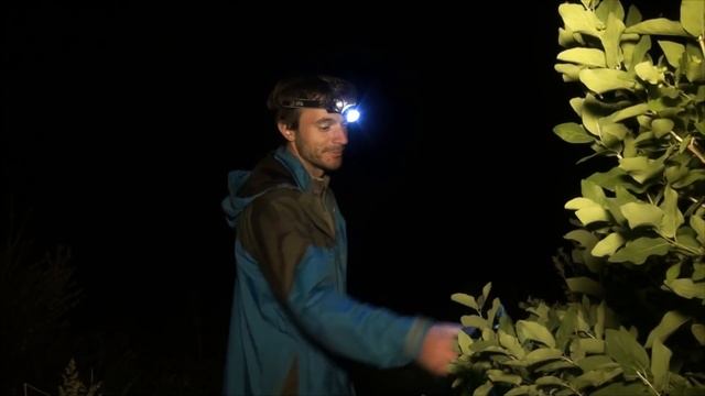 Река Урал: от истока и до устья. Серия 3 - 2 -- Ночная ловля смотреть онлайн