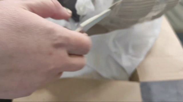 Новинки комнатных растений