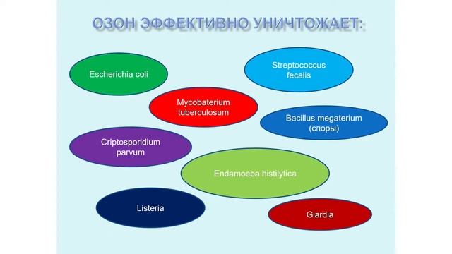 Розанов Владимир Викторович ведущий научный сотрудник факультета МГУ им. Ломоносова смотреть онлайн