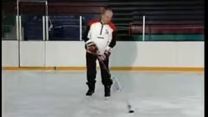 Sean Skinner Шон Скинер Мастерство владения клюшкой 5