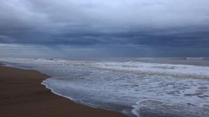 НЕЛЛИФОРНИКЕЙШЕН РАЗОБЛАЧЕНИЕ. Обзор на канал Nellifornication