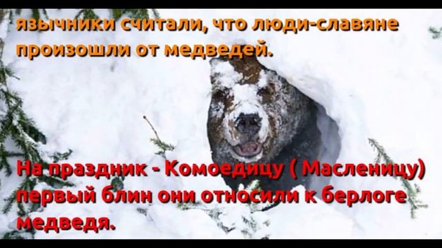 Почему мы так говорим? "Не в своей тарелке", "Первый блин комом".."Пролететь, как.. смотреть онлайн