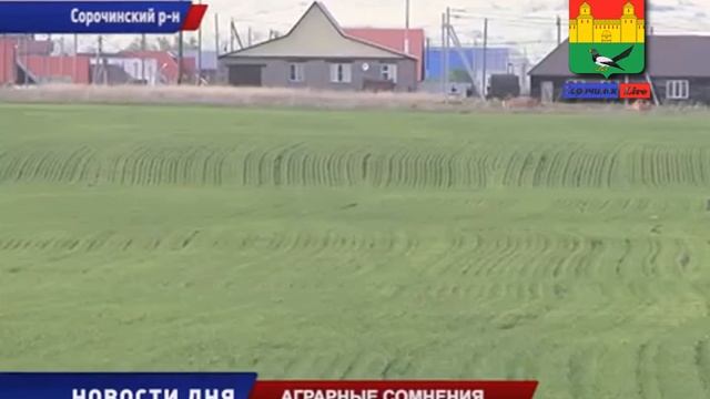 Сорочинск . Аграрные сомнения смотреть онлайн