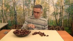Как вырастить каштан.