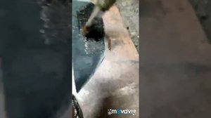 Как правильно поставить заплатку на обувь