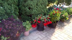 В гостях у староверов под Минском