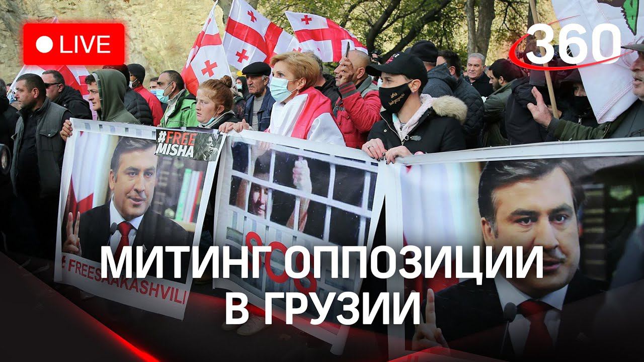 Тбилиси прямая трансляция. Митинг в Тбилиси. Пикет в Тбилиси.