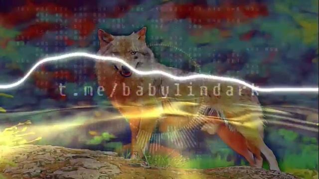 Что делать если встретил волка в лесу? смотреть онлайн