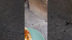 Готовим несколько пицц и хачапури в помпейской печи на дровах