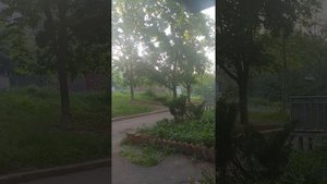 9 мая Константиновка Донецкая область Донбасс