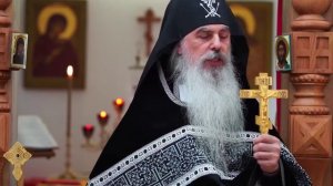 Хочу мужа богатого или крепкая семья - схиигумен Гавриил (Виноградов-Лакербая)