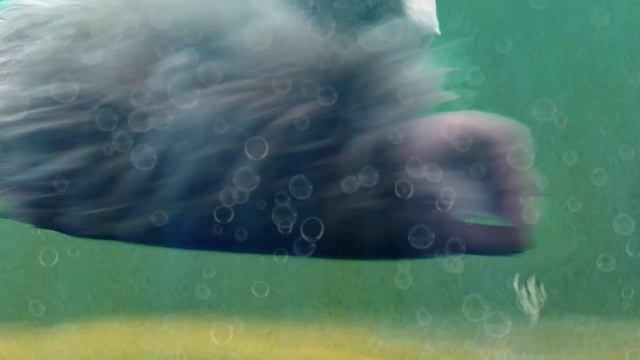 Простоквашино. Это уже не охота, это уже рыбалка какая-то... смотреть онлайн