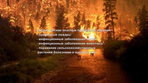 Общая характеристика природных явлений  Презентация по ОБЖ 7 класс