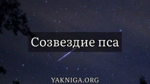 Артур Кларк рассказ «Созвездие Пса»