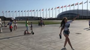 Олимпийский парк Сочи, Плюсы и минусы