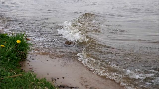 Силой нельзя заставить человека изменить свою жизнь! Очень сильная проповедь Андреас Конанос смотреть онлайн