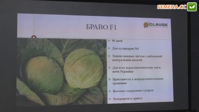 Браво F1 капуста (Clause) семинар 22.11.2016 смотреть онлайн